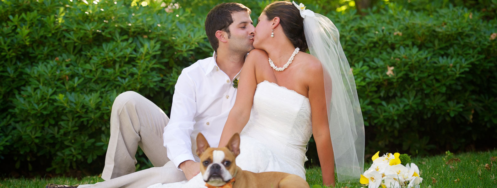 企业版全能的手机攻击器APP下载